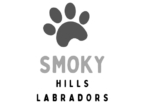 Smoky Hills Labradors